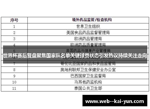 世界杯赛后复盘聚焦国家队名单关键球员状态引发热议持续关注走向